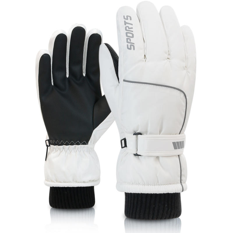 Men's AND WOMEN'S Professional - Ski Glove Waterproof review and price