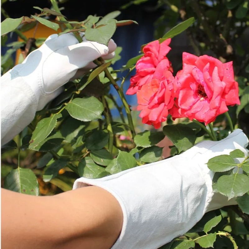 A Pair of Garden Gloves Thorn  - Gardening Glove Waterproof review and price
