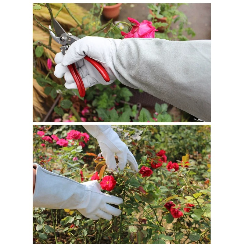 A Pair of Garden Gloves Thorn  - Gardening Glove Waterproof review and price