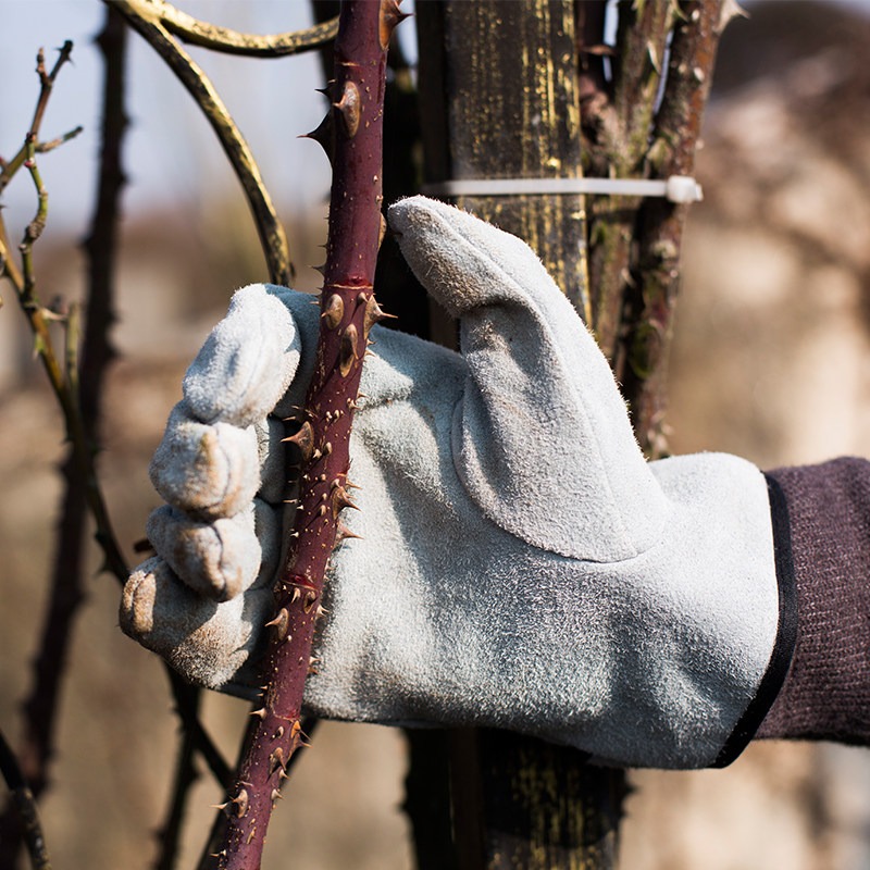 A Pair of Garden Gloves Thorn  - Gardening Glove Waterproof review and price